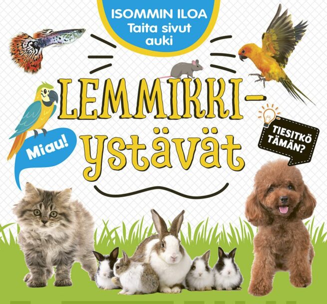 Isommin iloa : lemmikkiystävät