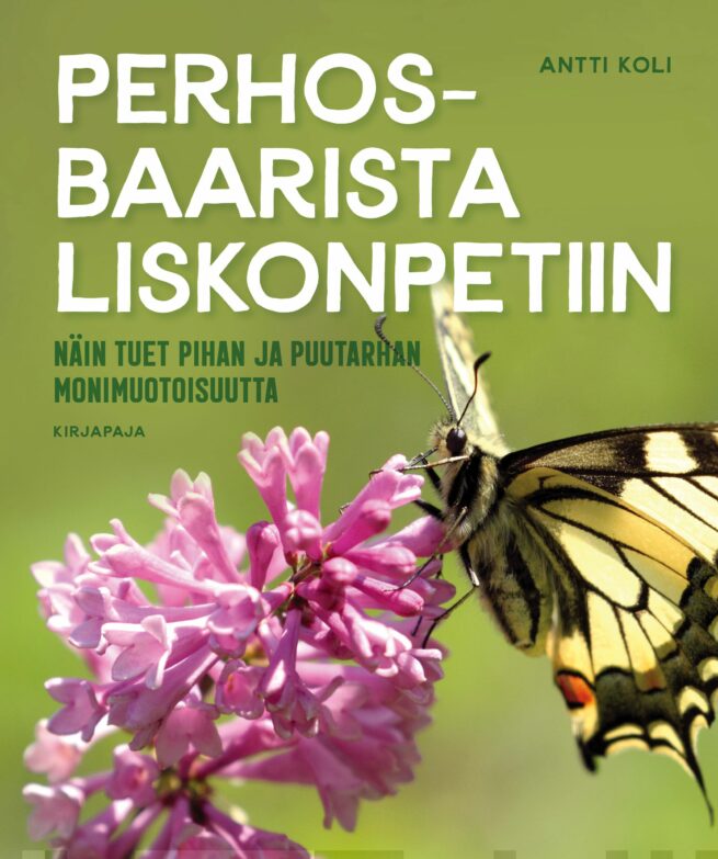 Perhosbaarista liskonpetiin : näin tuet pihan ja puutarhan monimuotoisuutta