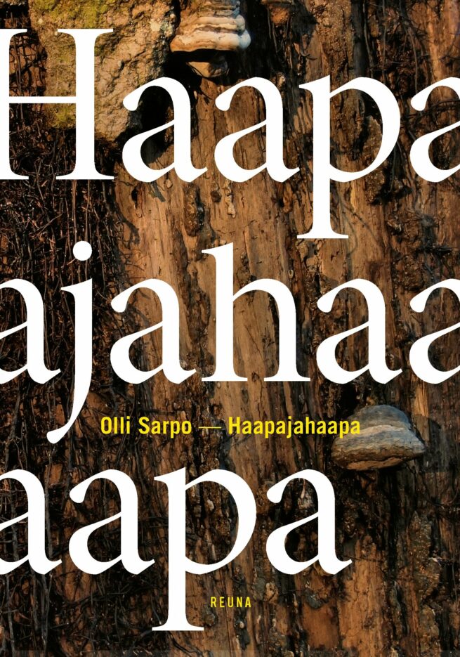 Haapajahaapa