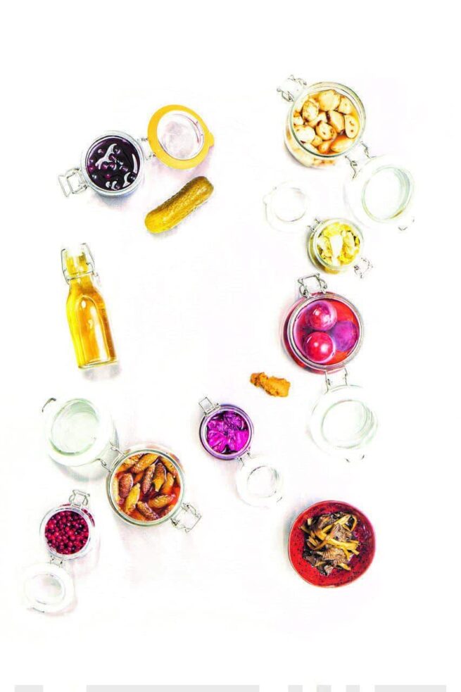 Fermentointikirja