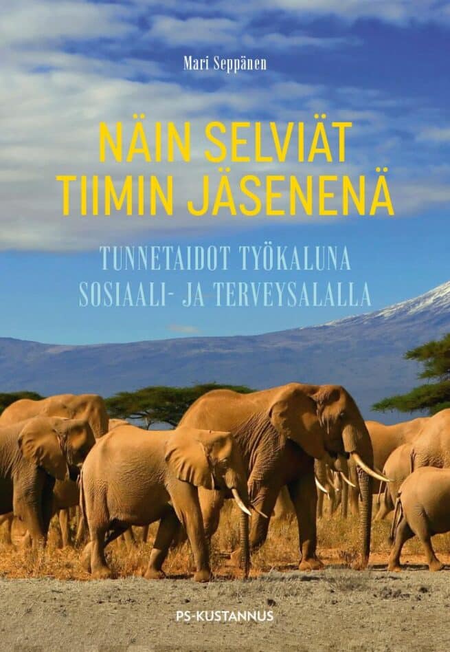 Näin selviät tiimin jäsenenä : tunnetaidot työkaluna sosiaali- ja terveysalalla