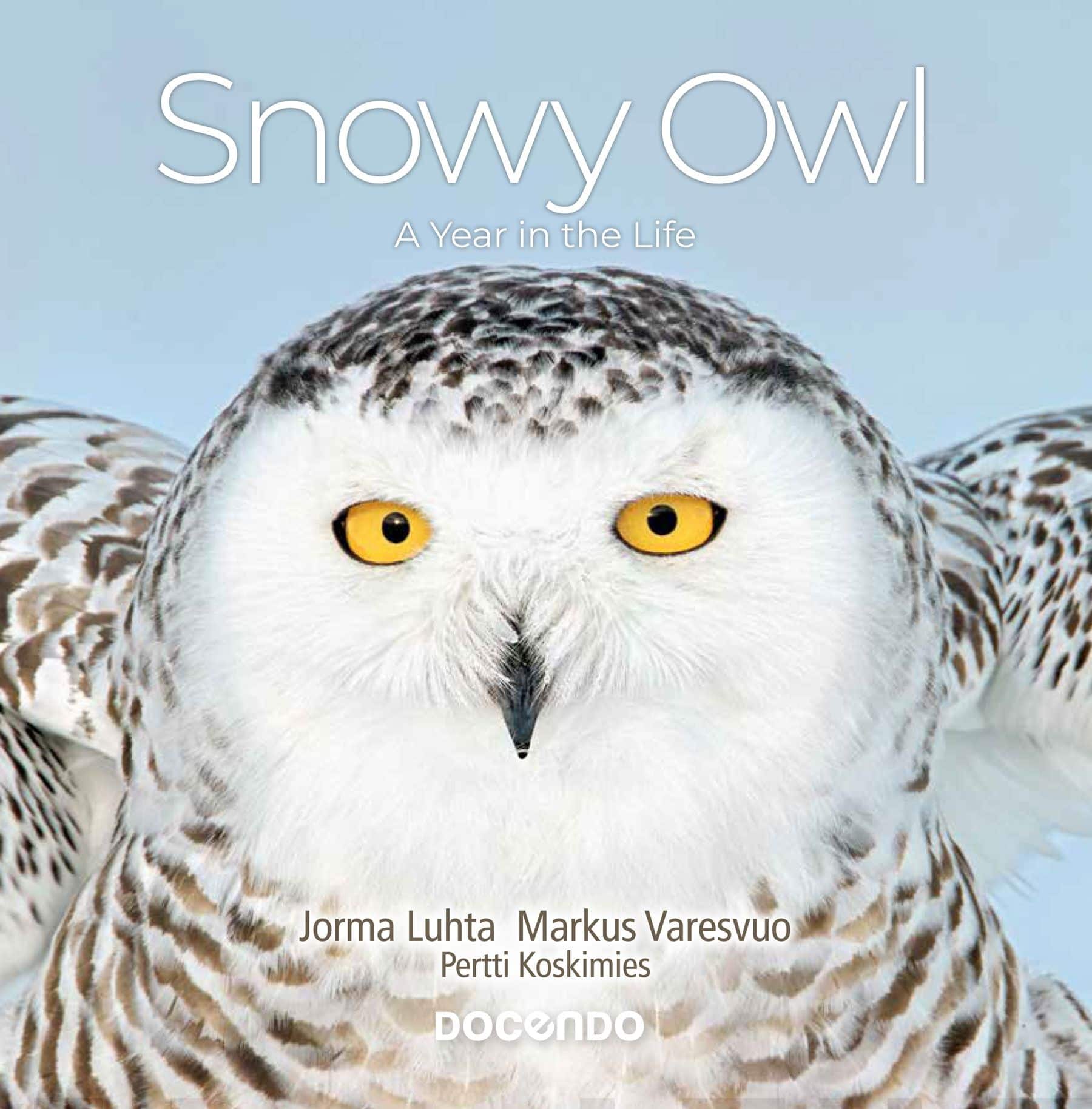 The Snowy owl : a year in the life Suomen vanhin kirjakauppa - Vuodesta 1899
