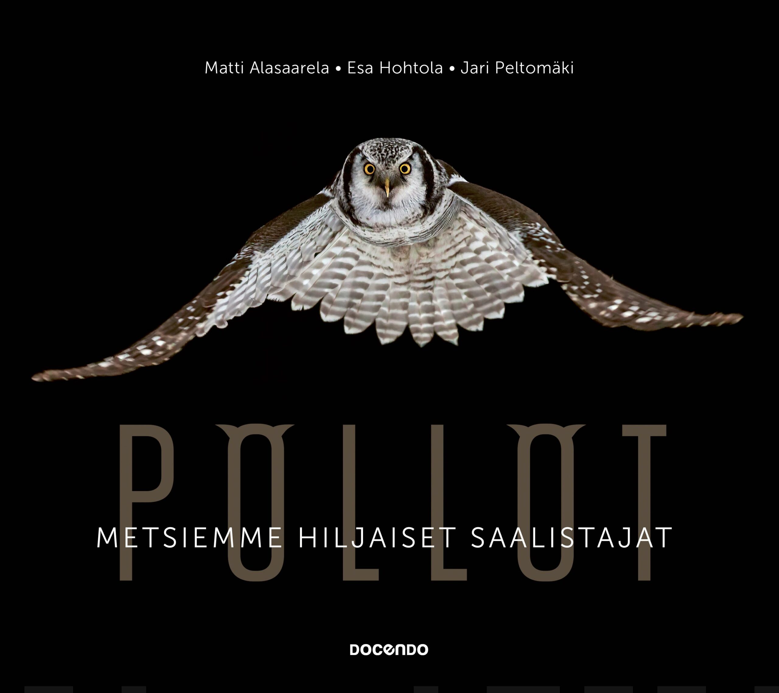 Pöllöt