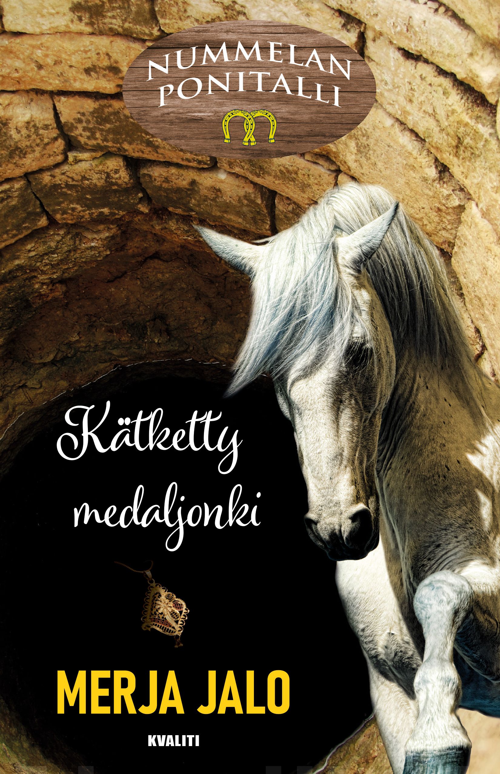 Kätketty medaljonki Suomen vanhin kirjakauppa - Vuodesta 1899