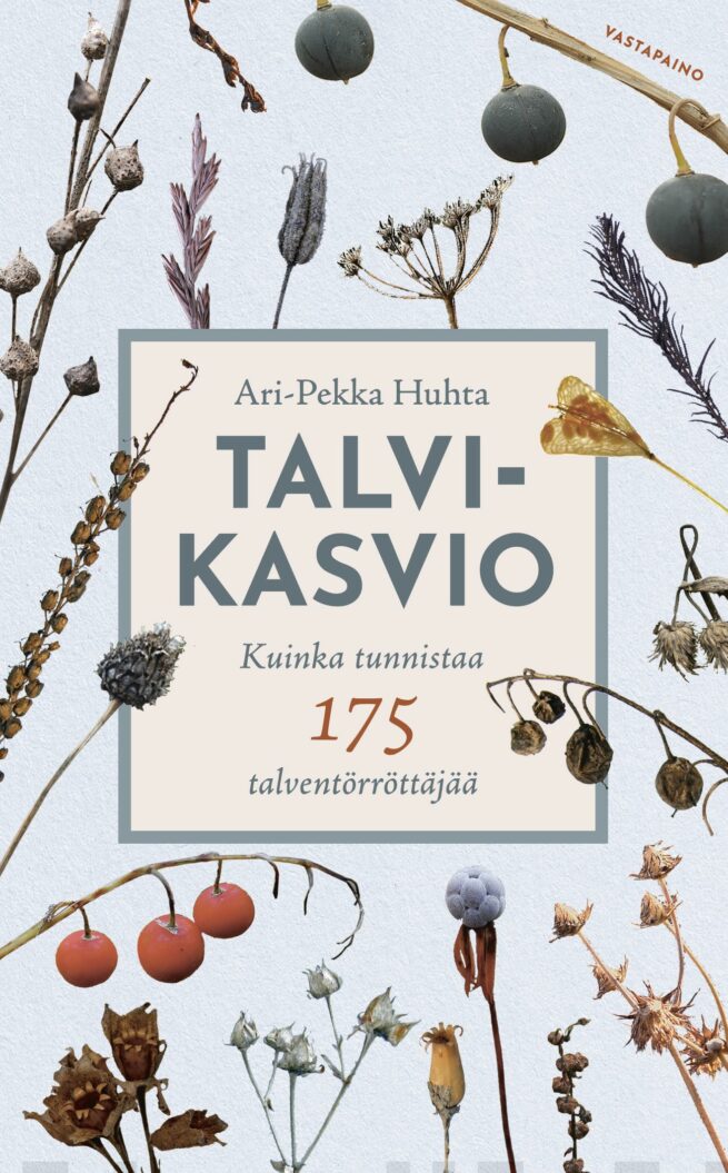 Talvikasvio : kuinka tunnistaa 175 talventörröttäjää
