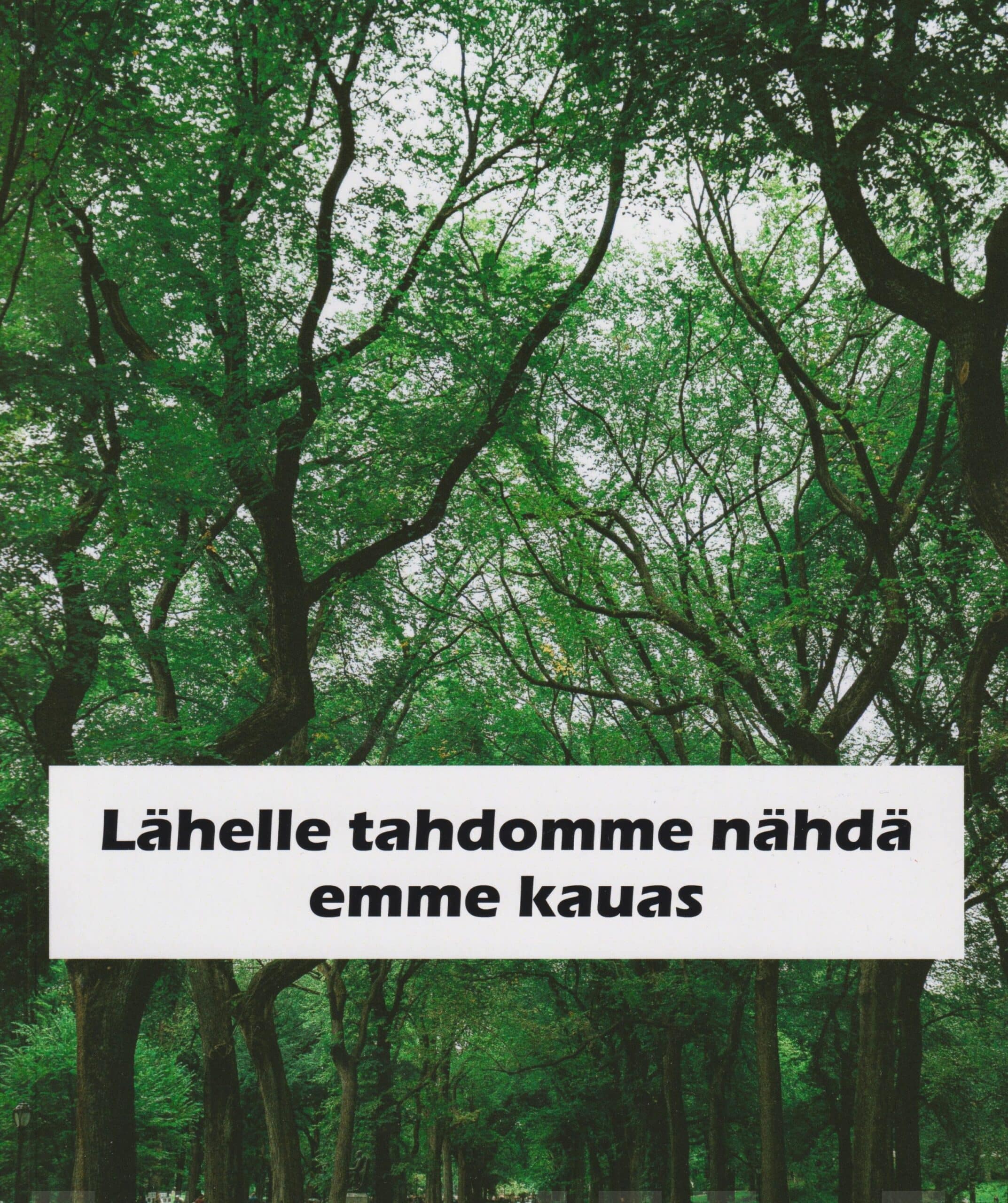 Lähelle tahdomme nähdä emme kauas : runoja Suomen vanhin kirjakauppa - Vuodesta 1899