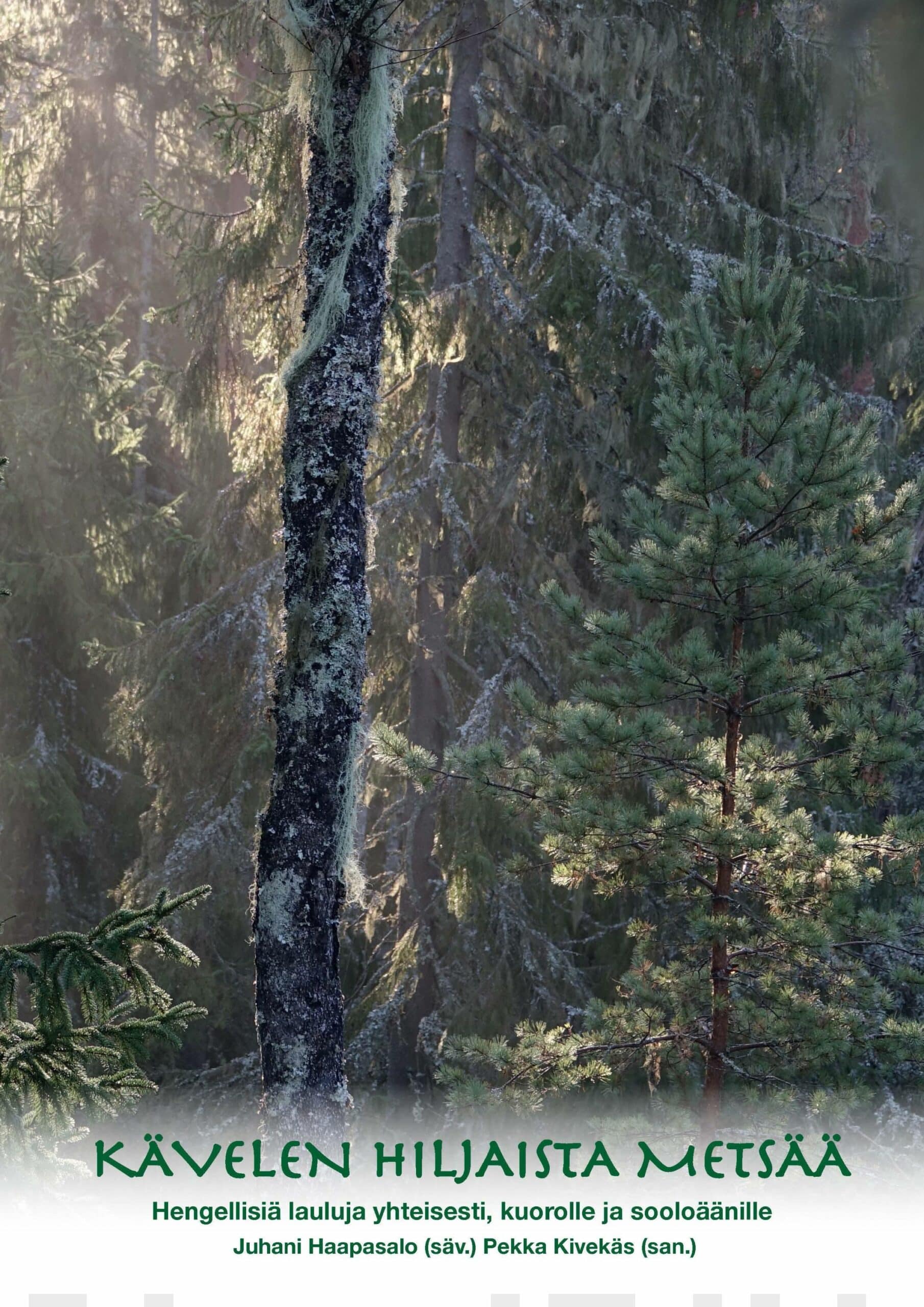 Kävelen hiljaista metsää Suomen vanhin kirjakauppa - Vuodesta 1899