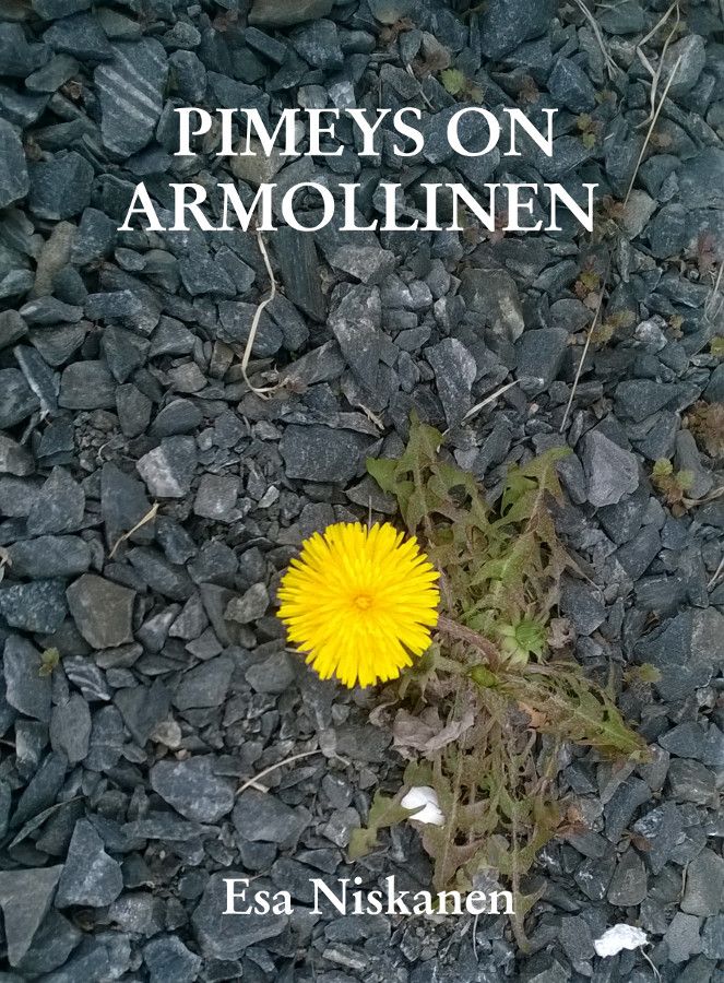 Pimeys on armollinen Suomen vanhin kirjakauppa - Vuodesta 1899