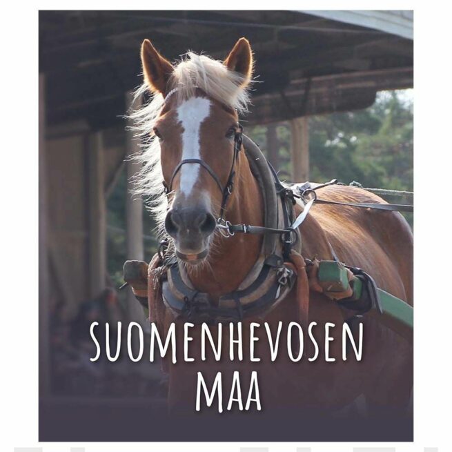 Suomenhevosen maa : kertomus suomalaisen hevosen matkasta monimuotoiseksi kansallisaarteeksi, suomenhevoseksi