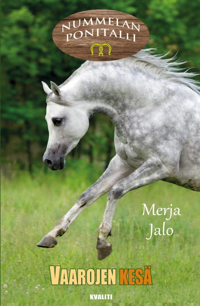 Vaarojen kesä