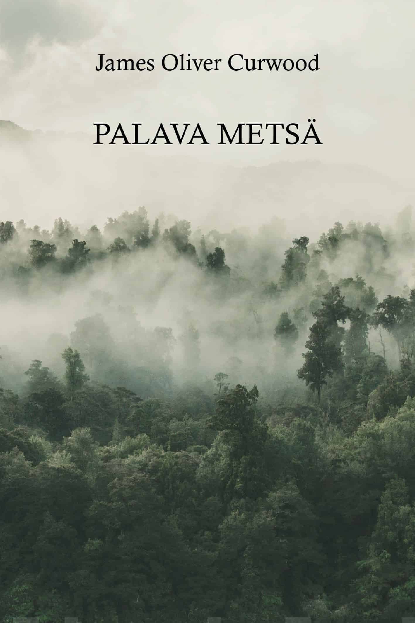 Palava metsä Suomen vanhin kirjakauppa - Vuodesta 1899