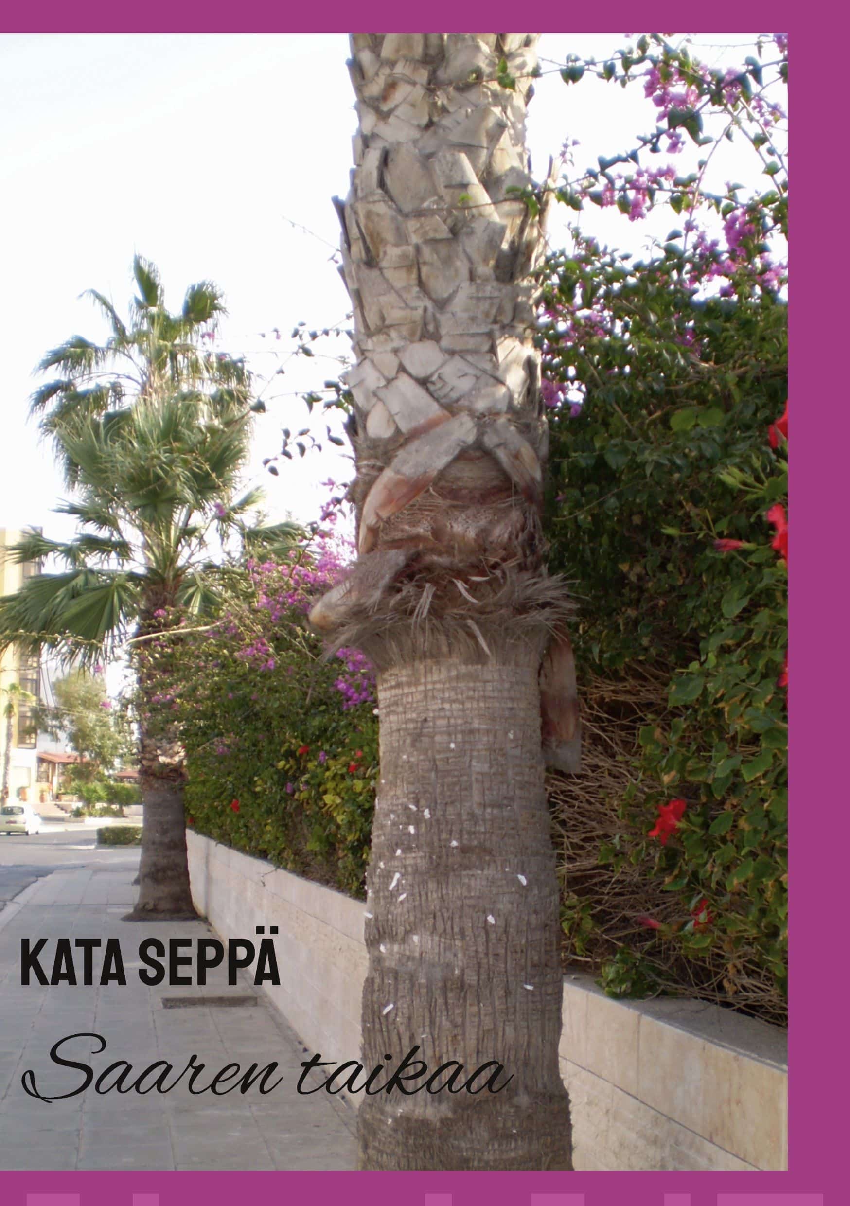 Saaren taikaa Suomen vanhin kirjakauppa - Vuodesta 1899