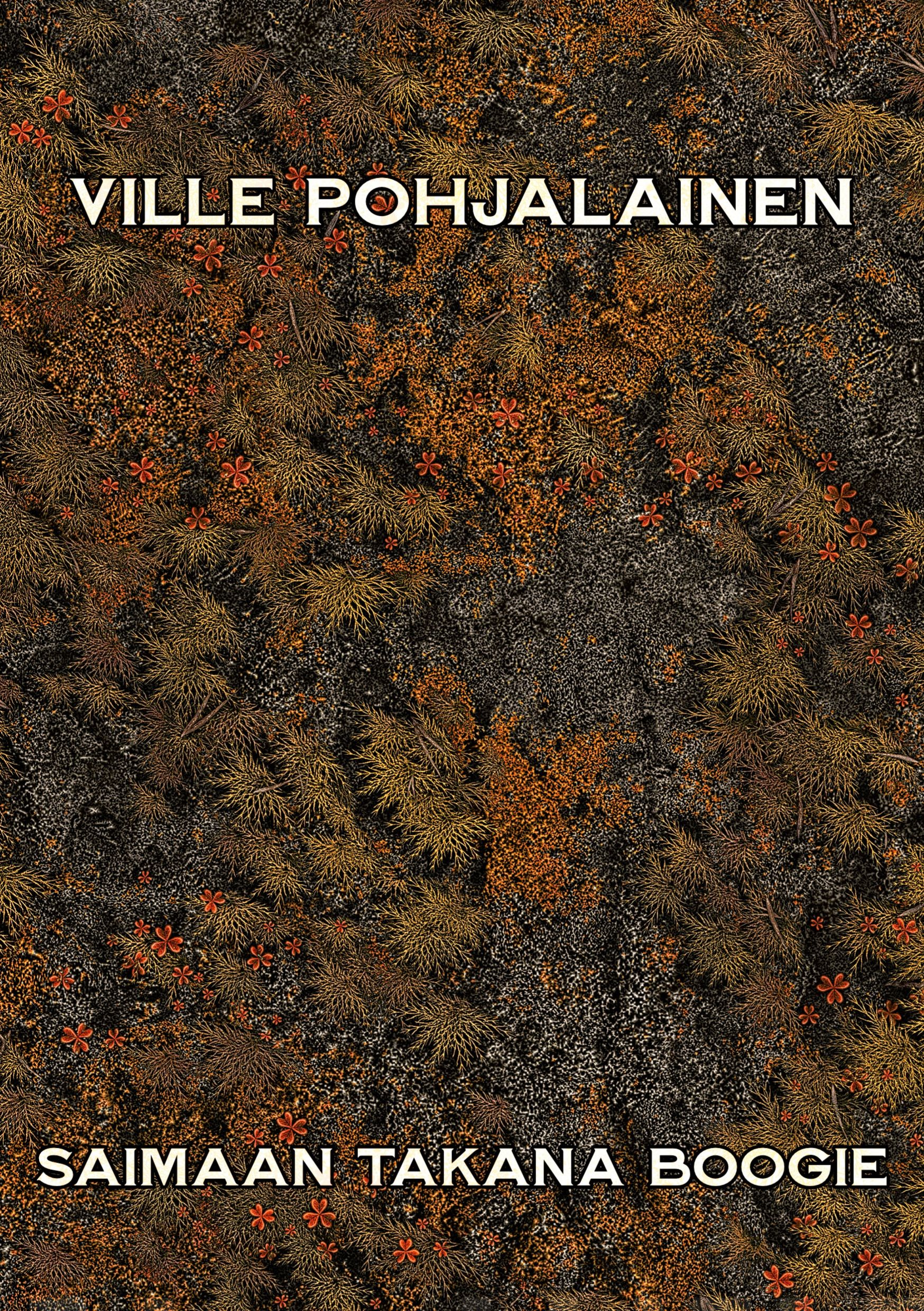 Saimaan takana boogie Suomen vanhin kirjakauppa - Vuodesta 1899