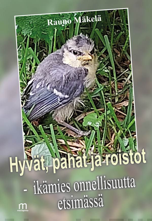 Hyvät, pahat ja roistot : ikämies onnellisuutta etsimässä