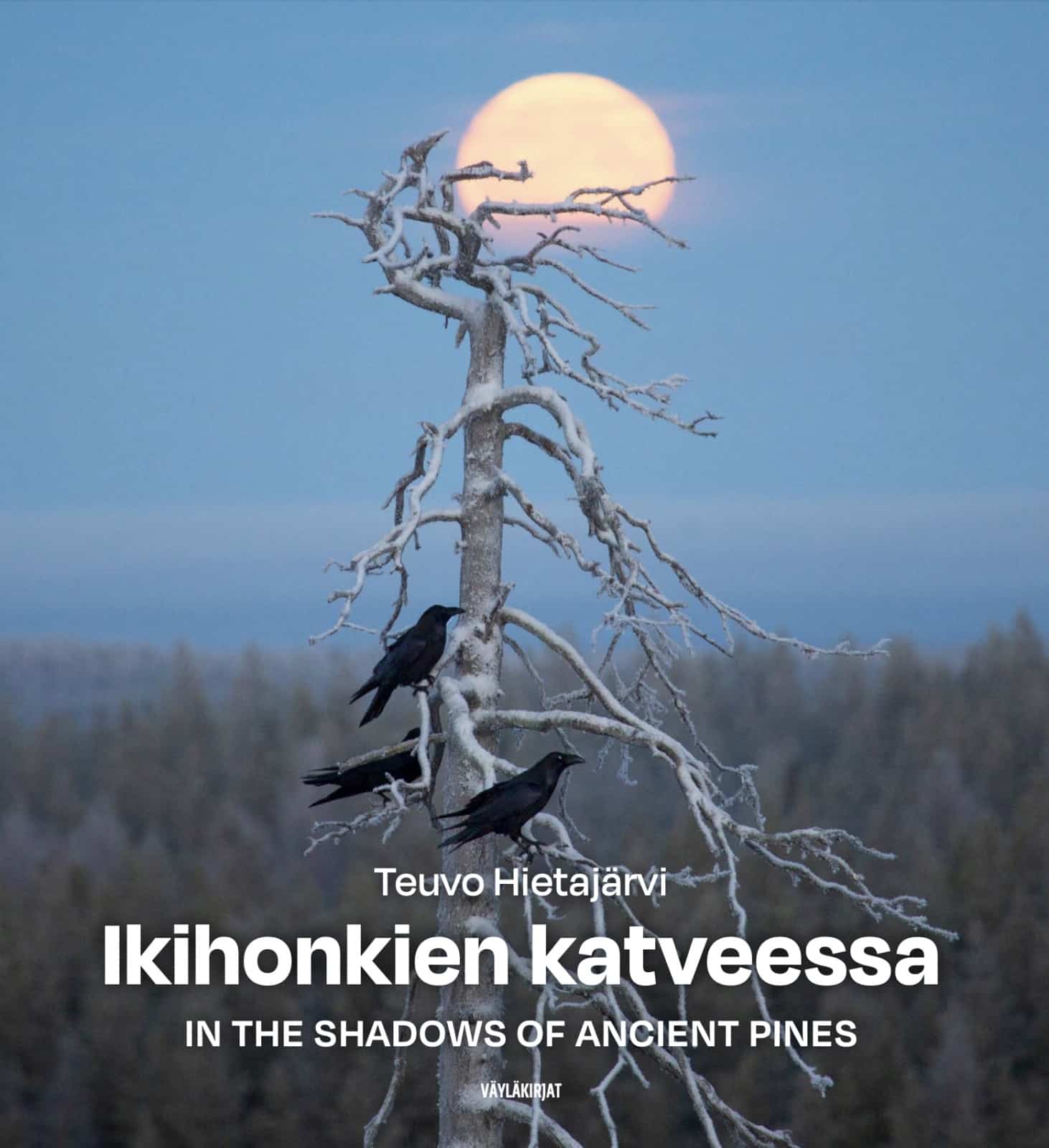 Ikihonkien katveessa = In the shadows of ancient pines