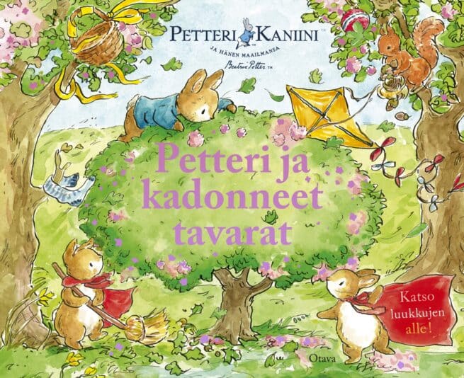 Petteri ja kadonneet tavarat (luukkukirja)