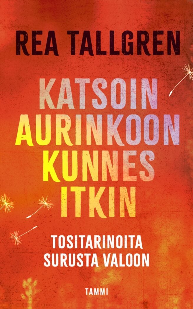 Katsoin aurinkoon kunnes itkin : tositarinoita surusta valoon