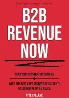 B2B Revenue now : lead your revenue operations with the best kept secrets of account-based marketing & sales.