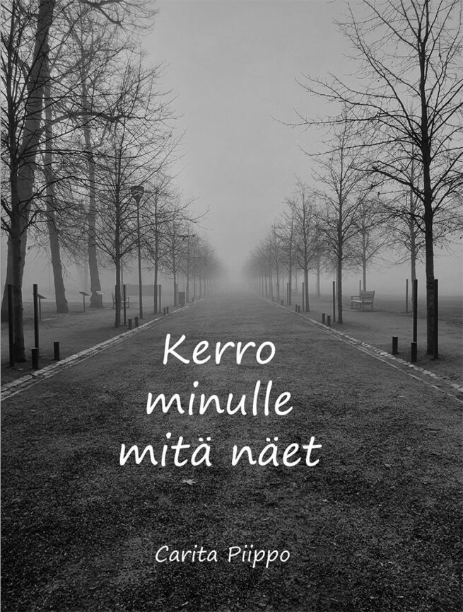 Kerro minulle mitä näet