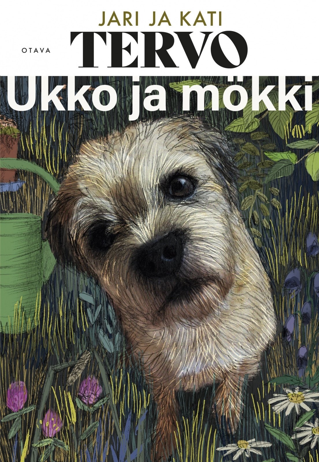 Ukko ja mökki