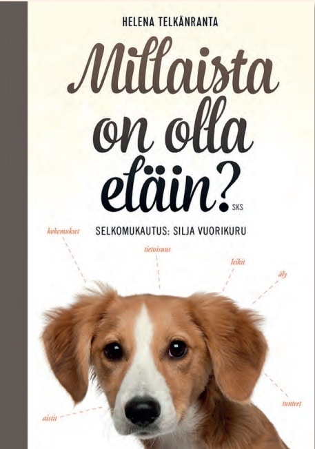 Millaista on olla eläin? (selkokirja)