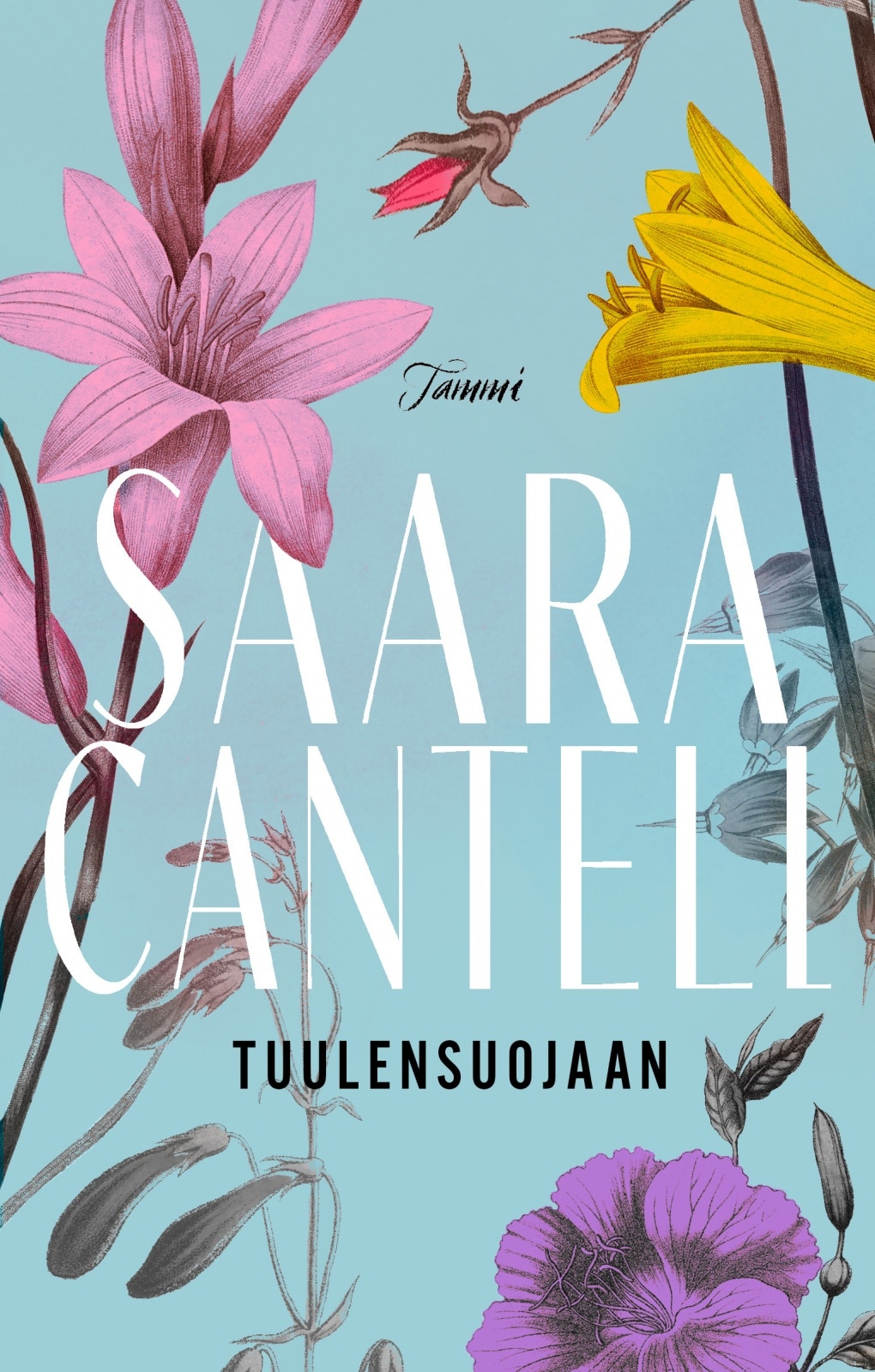 Tuulensuojaan