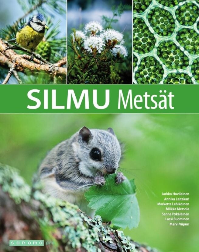 Silmu Metsät