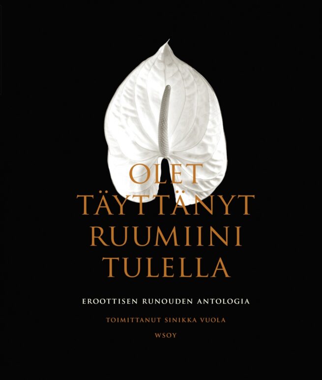 Olet täyttänyt ruumiini tulella