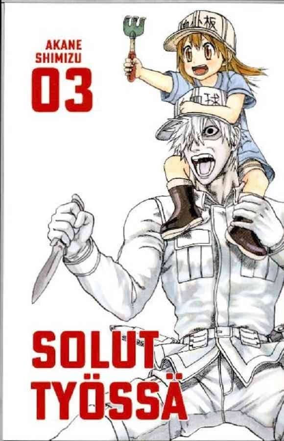 Solut työssä 3
