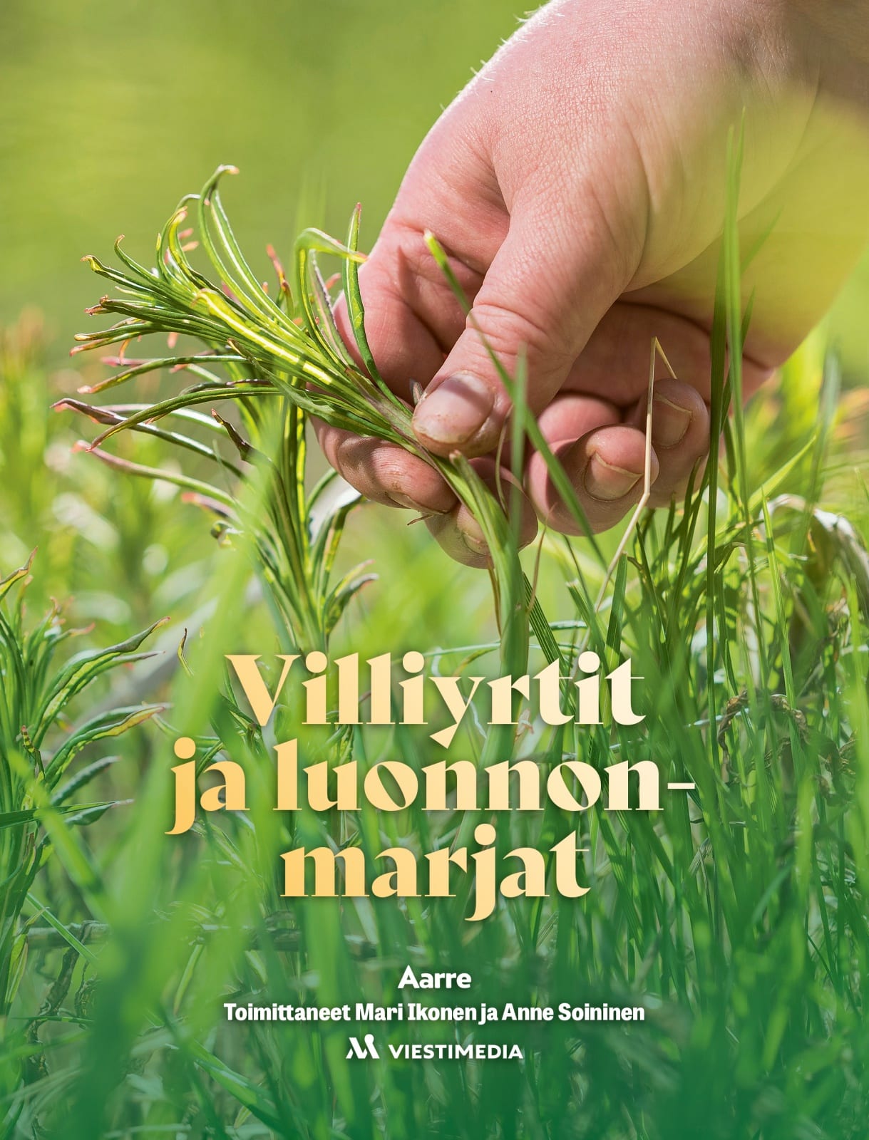 Villiyrtit ja luonnonmarjat