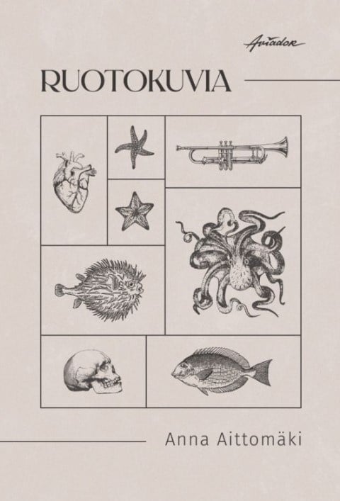 Ruotokuvia