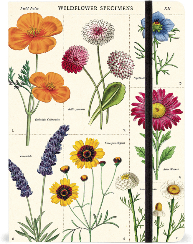 Cavallini muistikirja A5, Wildflowers