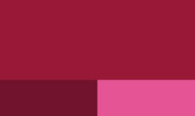 Lefranc Bourgeois fine akryyliväri Carmine Red, 80 ml - Image 2