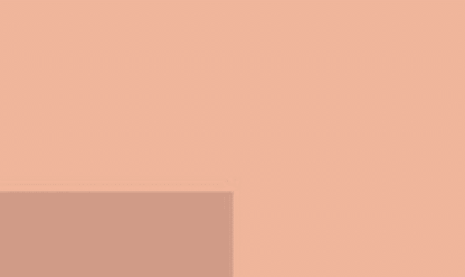 Lefranc Bourgeois fine akryyliväri Pink Ochre, 80 ml - Image 2