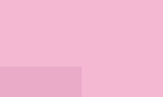Lefranc Bourgeois fine akryyliväri Rose, 80 ml - Image 2