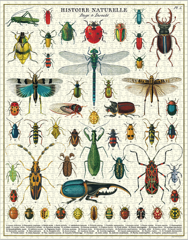 Cavallini palapeli: Bugs & Insects, 1000 palaa - Image 3