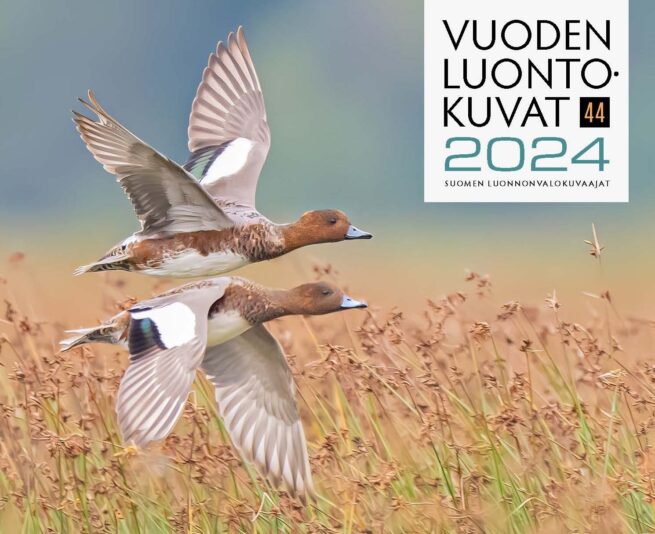 Vuoden luontokuvat 2024 : kauneimmat luontokuvat, mielenkiintoisia artikkeleita