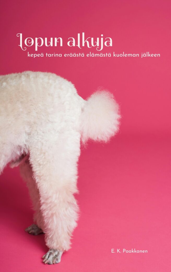Lopun alkuja : kepeä tarina eräästä elämästä kuoleman jälkeen