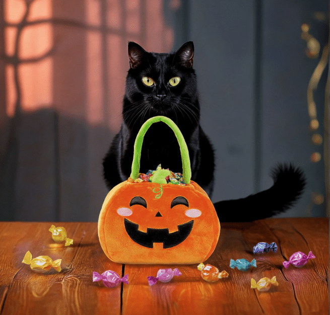Legami Halloween Trick or treat kurpitsakassi - Image 3