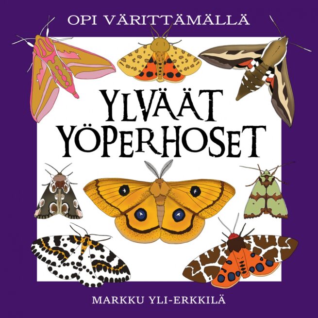 Ylväät yöperhoset (värityskirja) : opi värittämällä