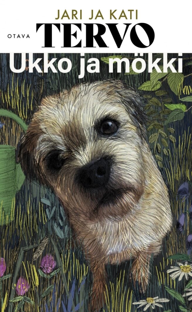 Ukko ja mökki (pokkari)