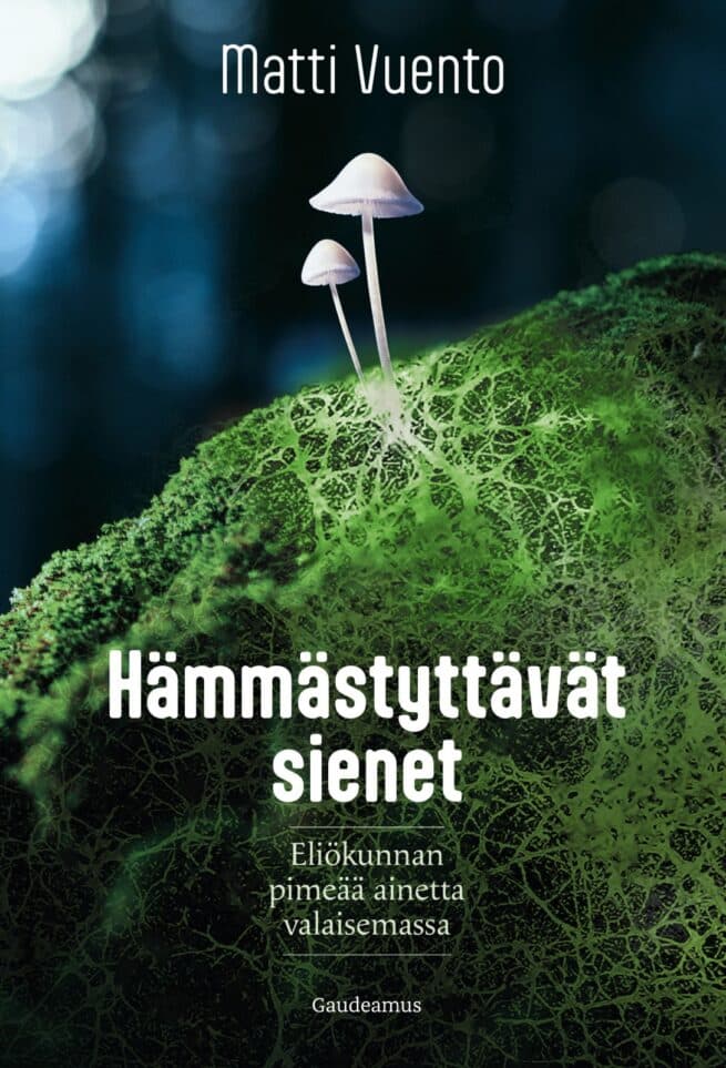 Hämmästyttävät sienet: Eliökunnan pimeää ainetta valaisemassa