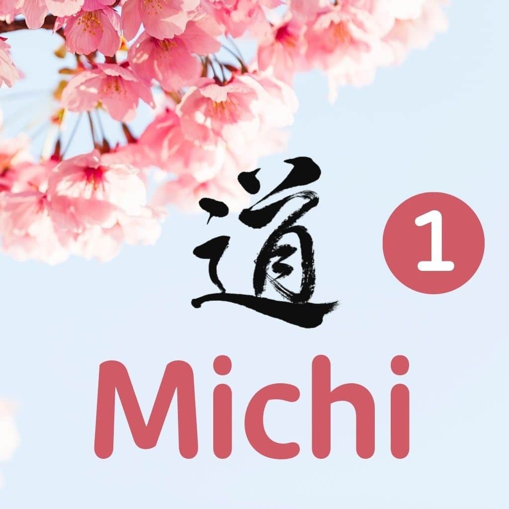 Michi 1 Uudistettu CD