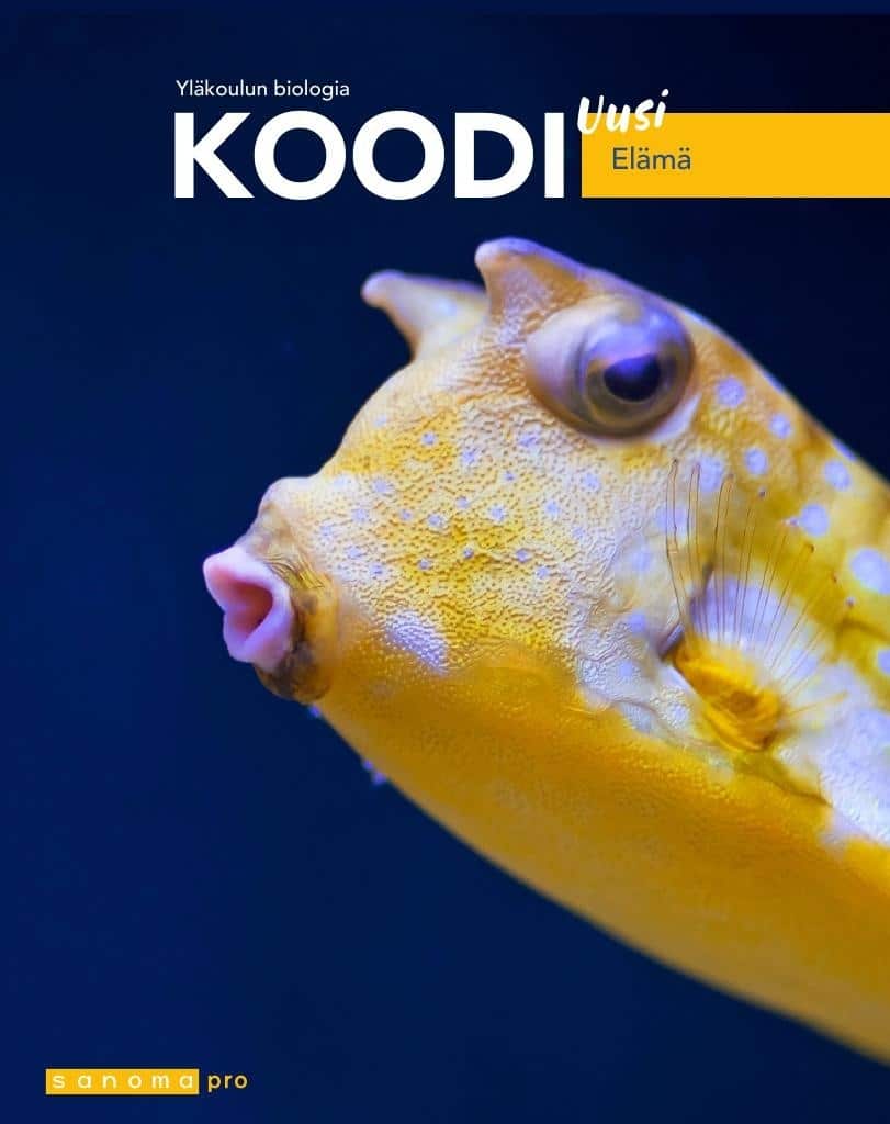 Koodi uusi Elämä