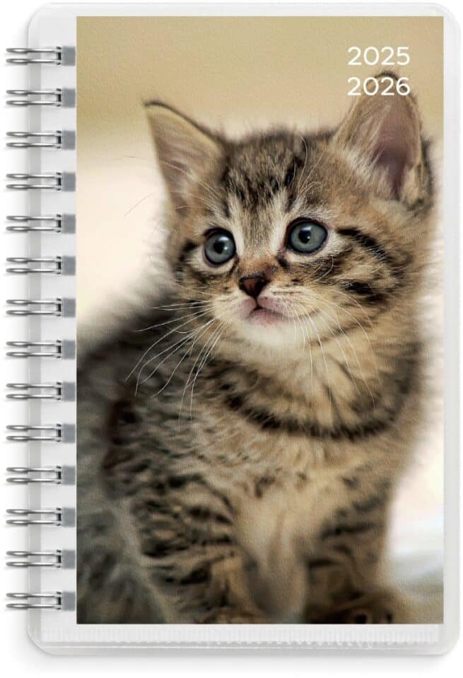 Compact Pets 2025-2026 lukuvuosikalenteri, 18 kuukautta - Image 2