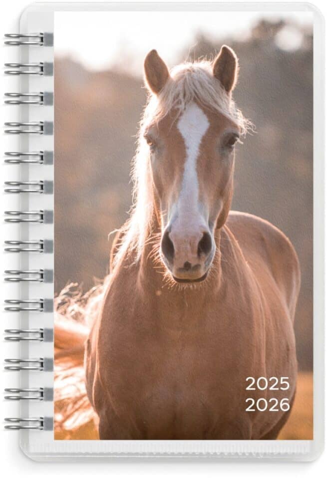 Compact Pets 2025-2026 lukuvuosikalenteri, 18 kuukautta - Image 3