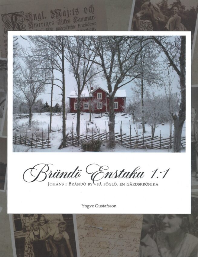 Brändö Enstaka 1:1 : Johans i Brändö by på Föglö, en gårdskrönika