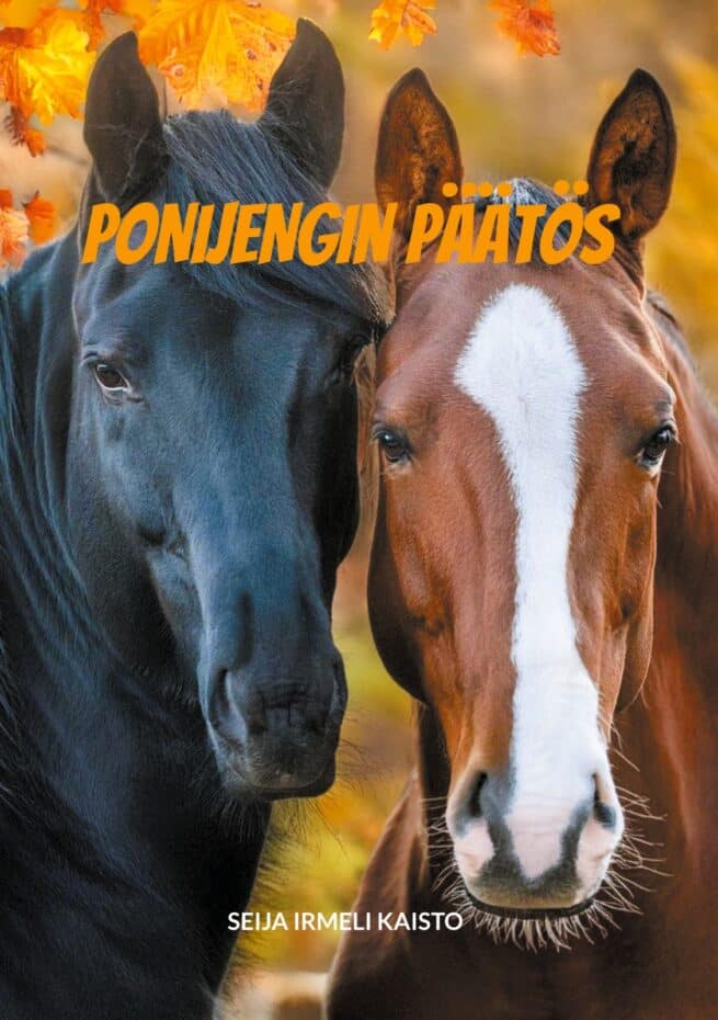 Ponijengin päätös