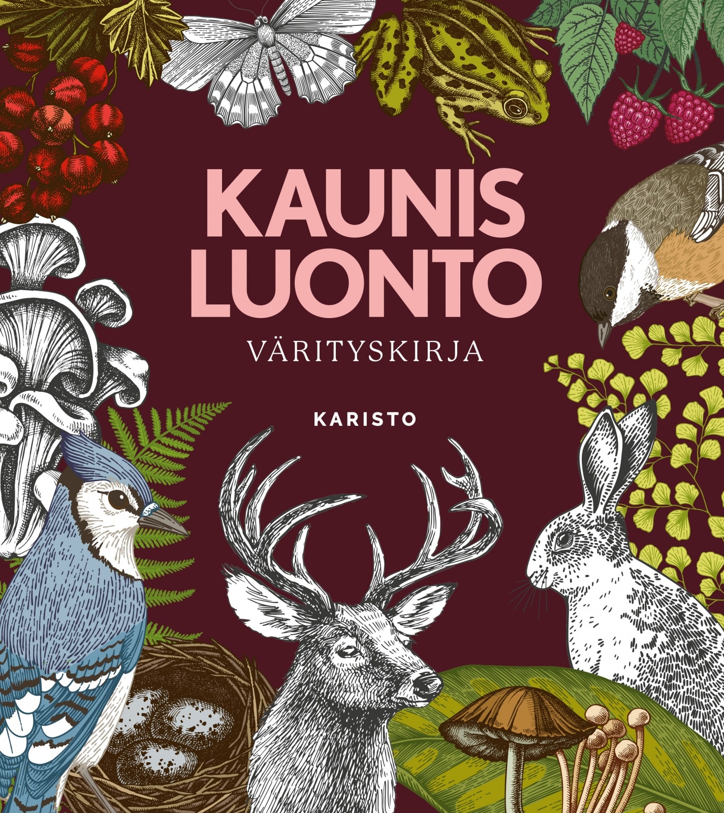 Kaunis luonto värityskirja
