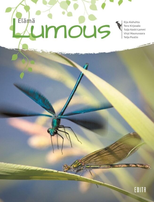 Lumous Elämä